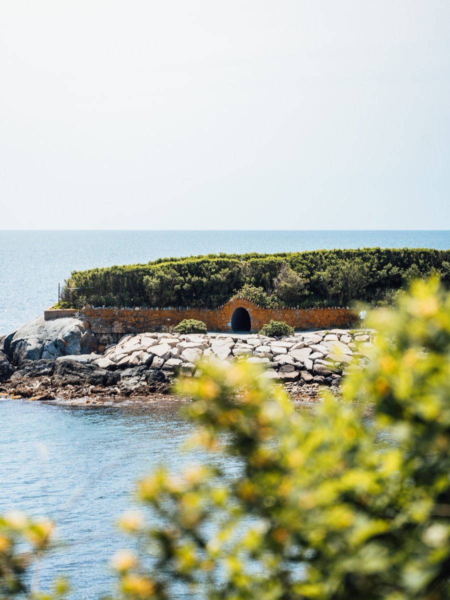 Discover Newport tweet media
