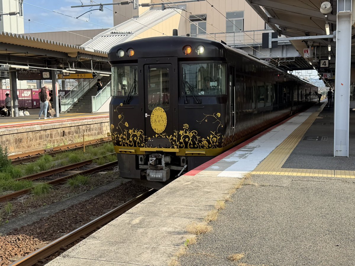 picottan's tweet photo. 初めましての由宇練習場⚾️
東京→広島→いろり山賊→由宇球場→ソオタス→岩国→はなあかり→広島→東京
と完璧な旅程を発見してしまった。
#carp 
#由宇練習場
#ファーム https://t.co/vOoIQh8xYb