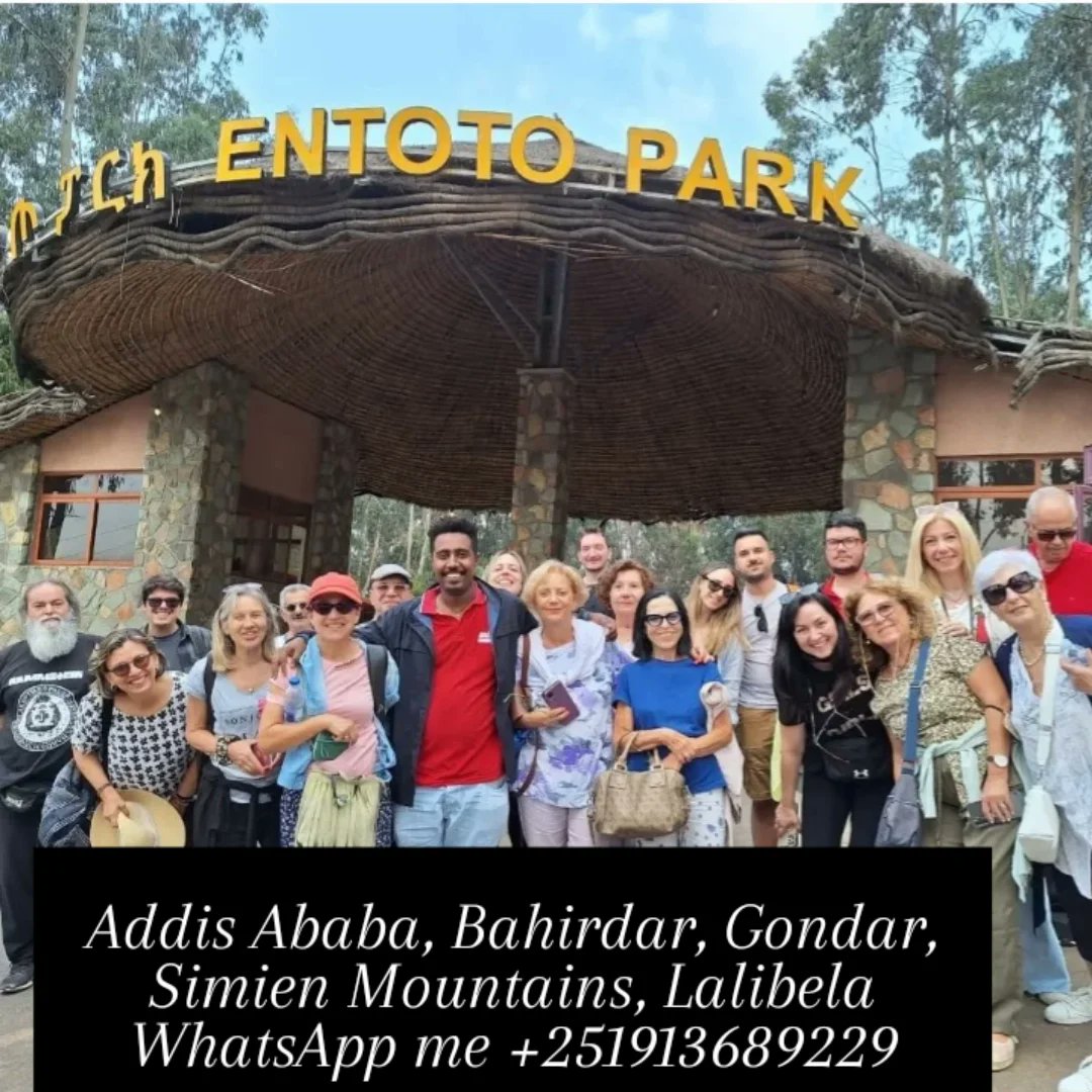 Rotatethiotour's tweet photo. Rotate Ethiopia Tours And Travel WhatsApp link:- Book Ethiopia Tours 🇪🇹🇪🇹🇪🇹:-

https://t.co/qxK4G8jmCS

#Travel #highlights #Highlights #Tours #everyone #VisitEthiopia #Ethiopia #AddisAbaba #CityTours #MultiDayTours https://t.co/q56caza9wp