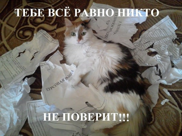 s̷p̷h̷e̷r̷e̸ h̷o̷m̷o̷t̷o̷p̷y̷ tweet media