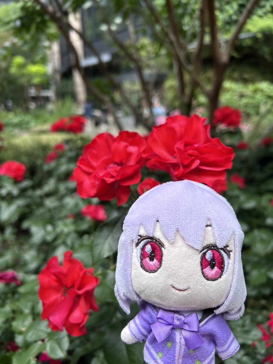 羊森めりの tweet media
