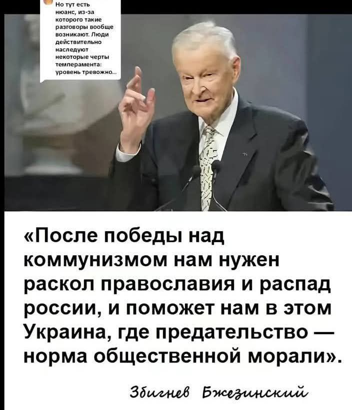 вано шаламов 8.0(მესხი) tweet media