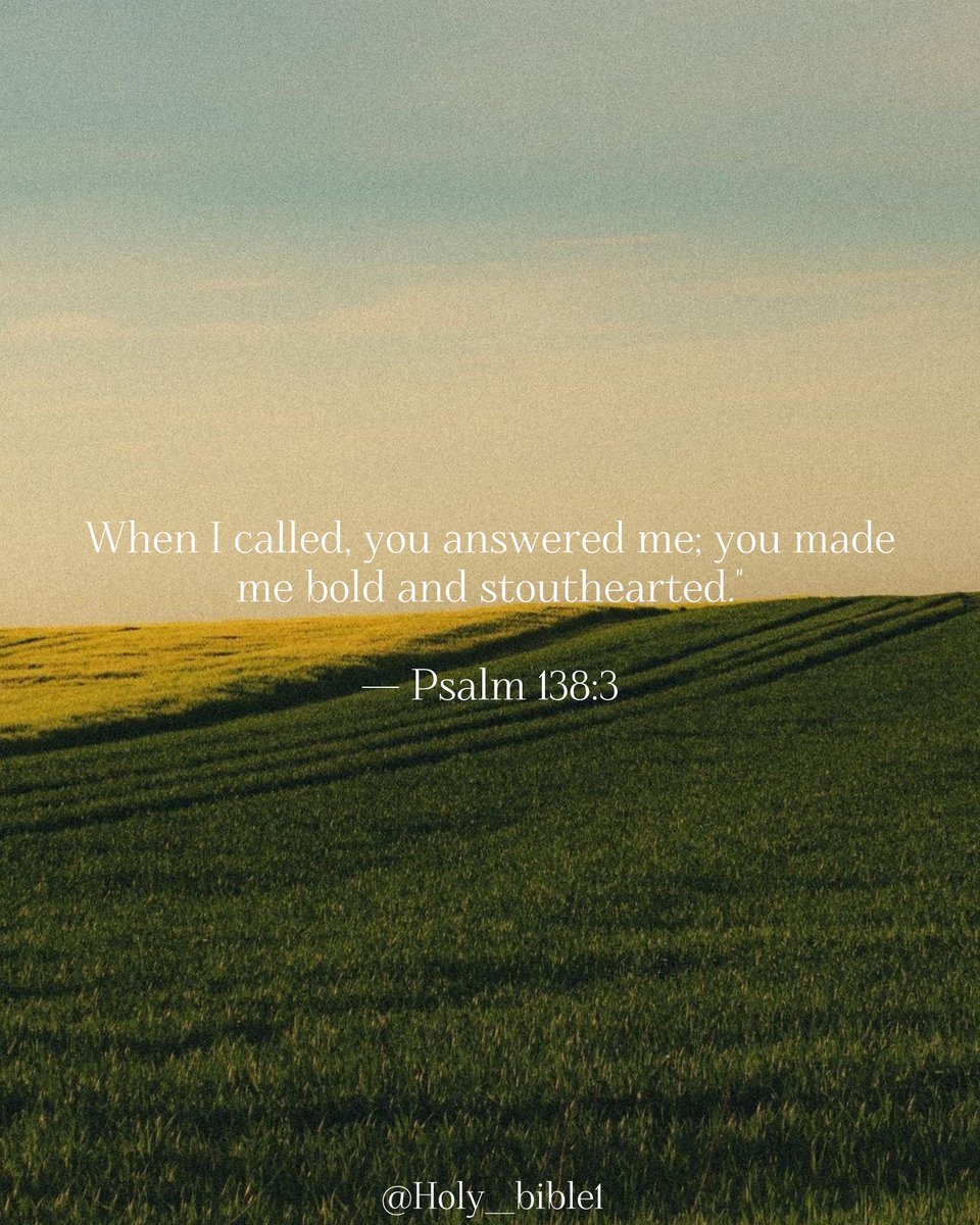 Holy Bible tweet media