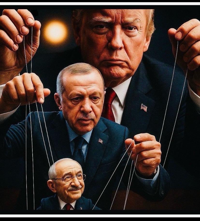 Prof.Dr. Şule Özsoy Boyunsuz tweet media