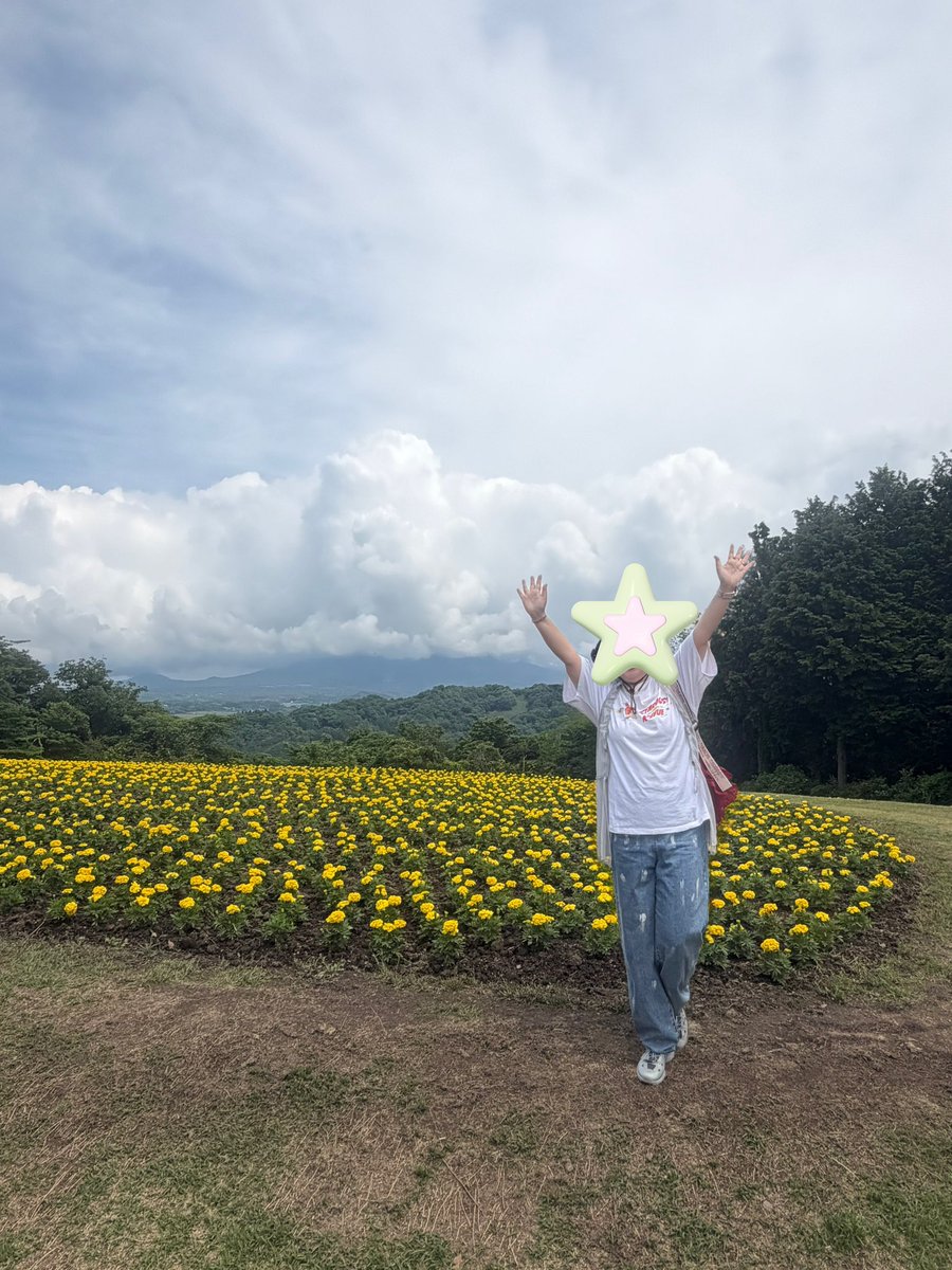 あんみつひめ tweet media