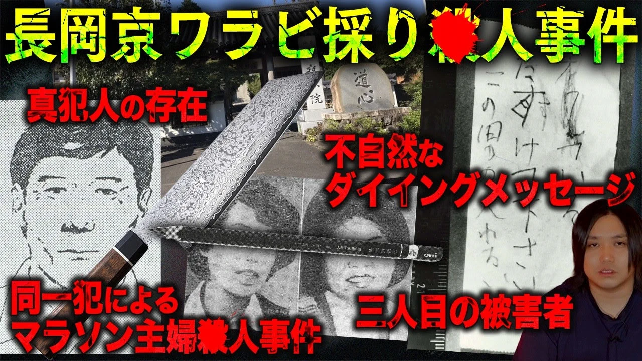 活動歴および当時の関連ビジュアル記録