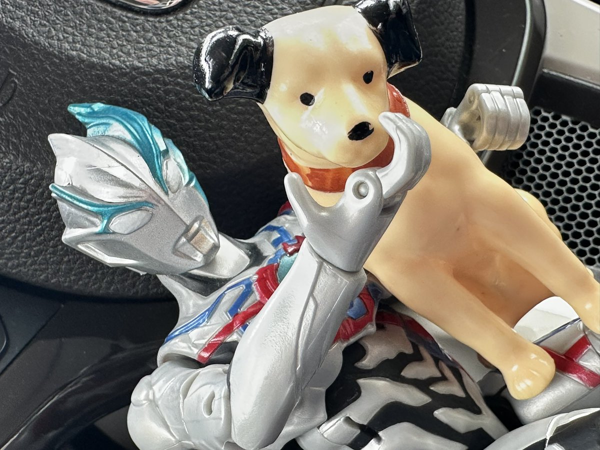 【いっぬさん専用】 色々買って帰路。 21ピンRGBケーブルは初めて見た。 ビクター犬の