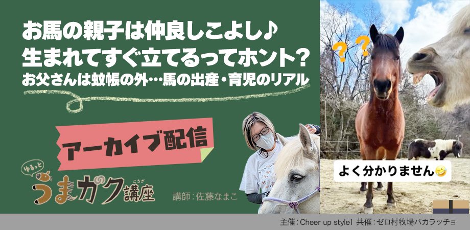 なまこ。🐴🩶馬と暮らしたい一般GLAY tweet media