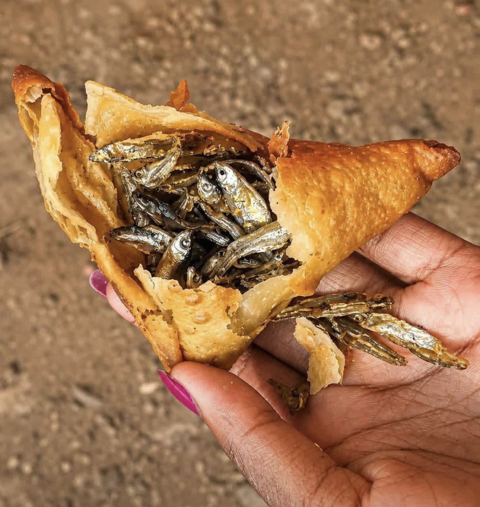 DrBellahh's tweet photo. Samosas in northern Uganda 🤭 https://t.co/9q0aPpk1Gs