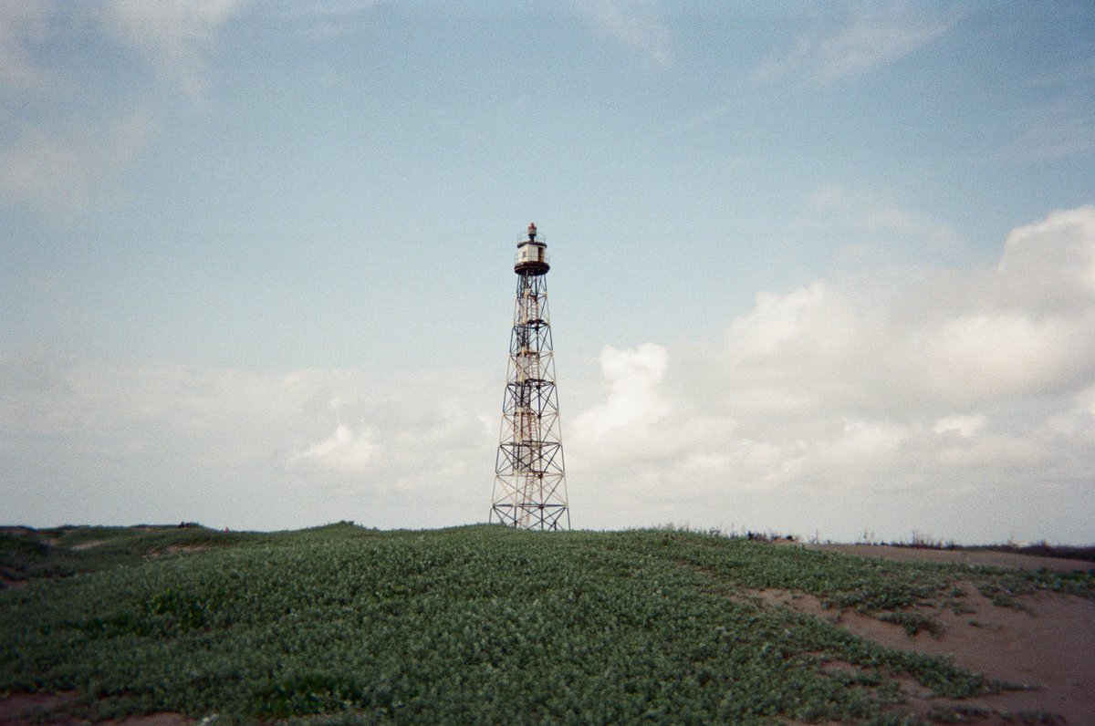 t287tp's tweet photo. 台湾に持って行った写ルンですを現像したぞ
4枚目の梨山で撮った茶畑は本当に綺麗だった https://t.co/6KISdvHDD9