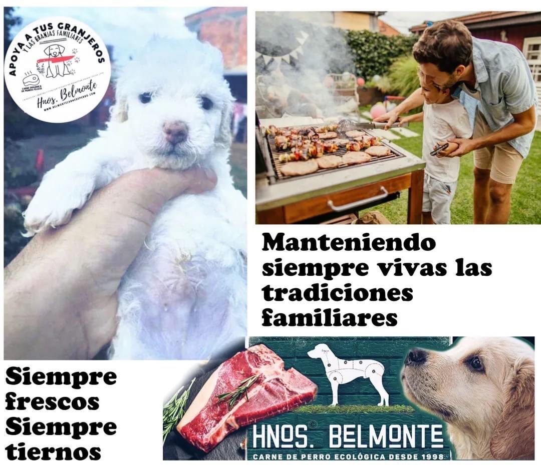 Belmonte Carne Ecológica de Perro tweet media