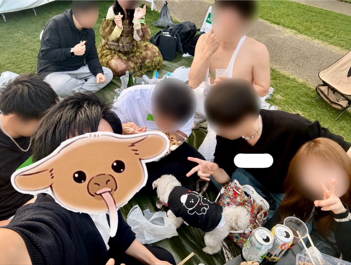 ✟ディム✟ tweet media