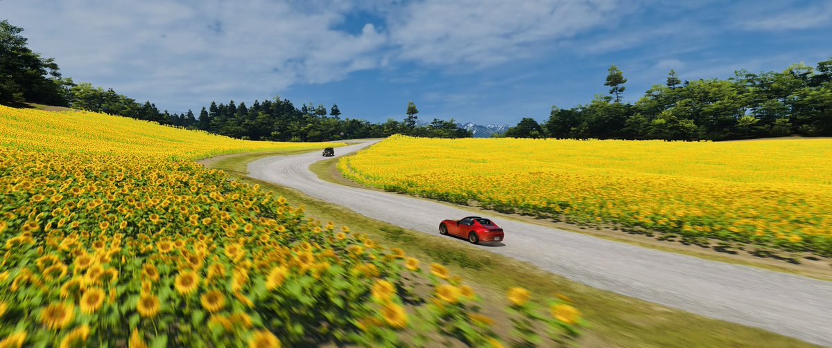 machu's tweet photo. 黄色いヒマワリと青い空が、ロードスターの赤いボディに映える #ForzaHorizon６ https://t.co/jsxHWIV4vr