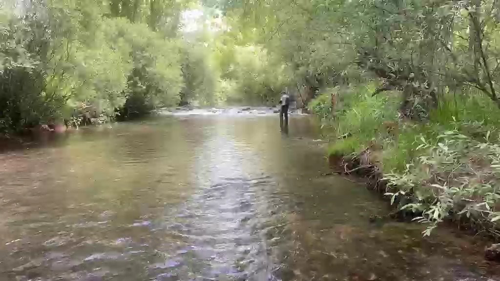 juananpisuerga's tweet photo. #DíaEuropeoDeLosParquesNaturales
Los #PPNN son mucho más que paisajes, son refugio de nuestra biodiversidad y espacios clave para el equilibrio ecológico.
En Castilla y León tenemos kilómetros de ríos donde pescar y disfrutar de una jornada en la Naturaleza
.
@patrimonionat #cyl https://t.co/C2sqDidBes