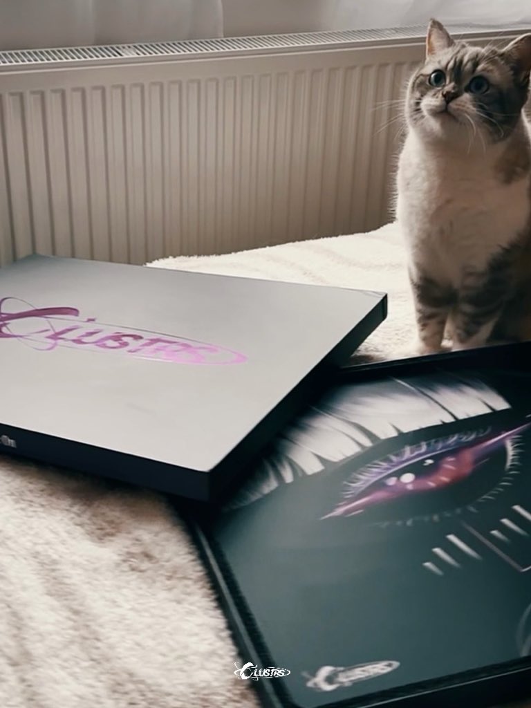ClustrsOfficial's tweet photo. scratch resistant. 
cat approved.
honestly the perfect combo.
okay... now we need a whole comment section of cats on glasspads. 
cr: quetwo &amp; tech.d1n0
#clustrs #clustrssquad #cats #glasspad https://t.co/MGl9two9tf