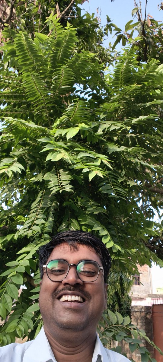 SushilKumarKBC's tweet photo. लगभग दो वर्ष पहले मिस्कौट स्थित श्री वसीम जी के परिसर में लगाए गए हरफ़रौली के पौधे की वर्तमान स्थिति।
#पांच_फल_लोकल 
#सेल्फी_विथ_पहले_लगाया_हुआ_पौधा https://t.co/8yudEu80ZP