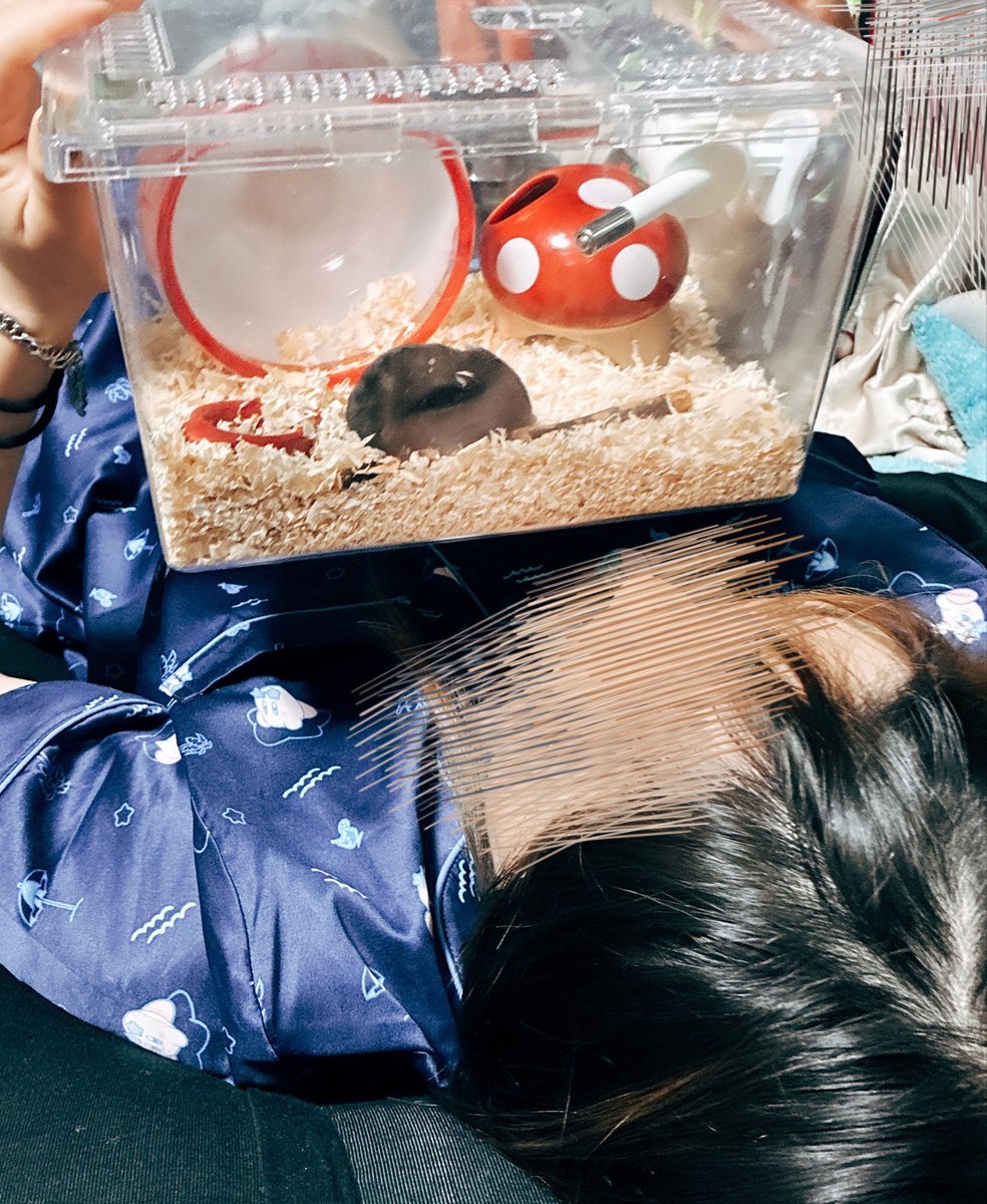 reo🐭 tweet media