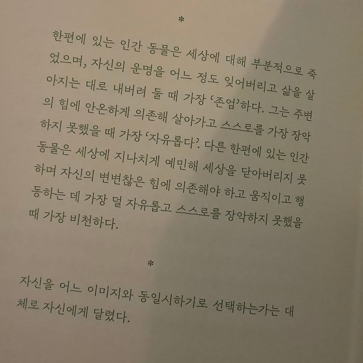 앵화 tweet media