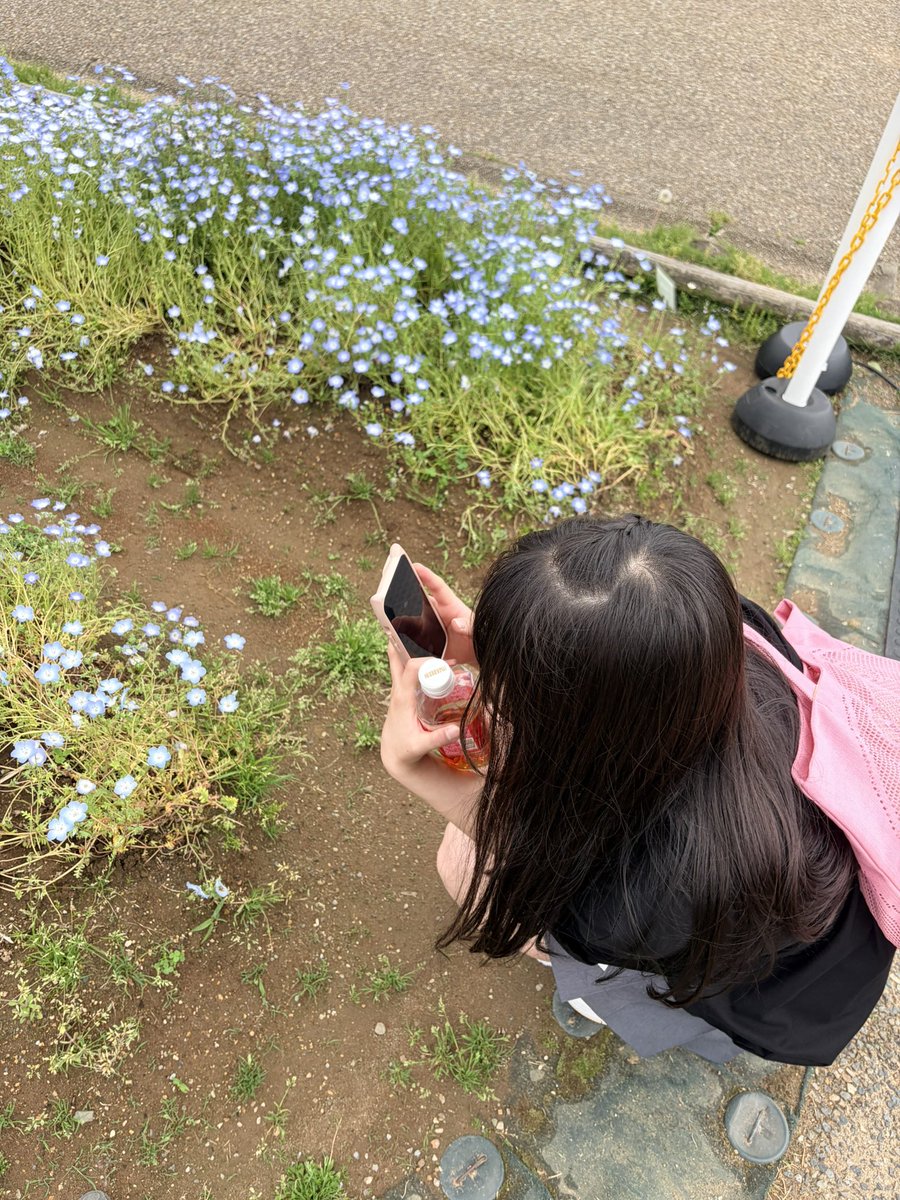 ぱるる tweet media