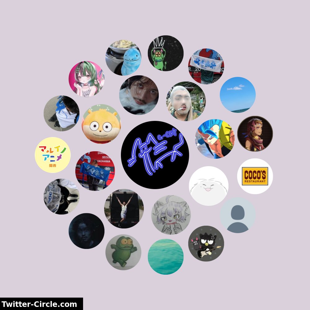 (G)CAT👑🐃 tweet media