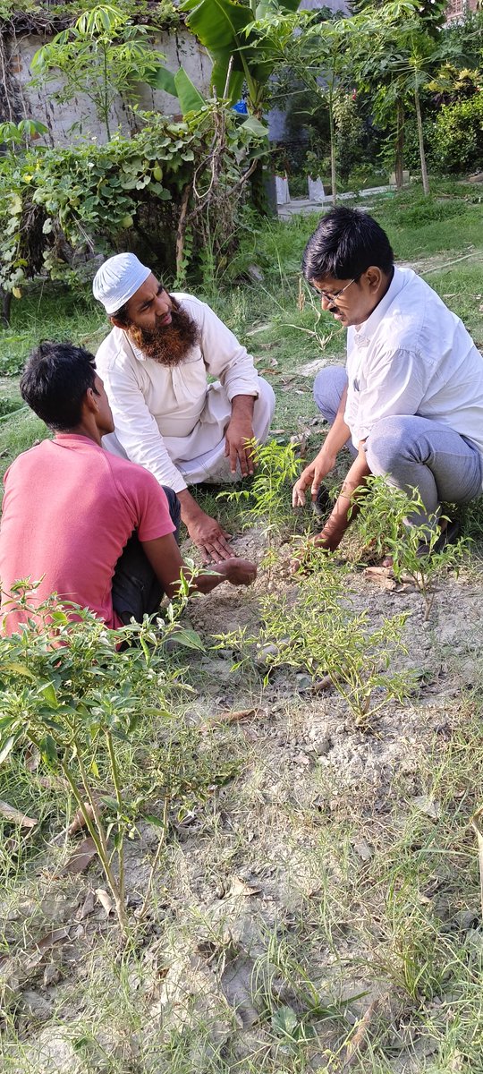 SushilKumarKBC's tweet photo. आज वसीम जी के मिस्कौट स्थित परिसर में पांच फल लोकल अभियान के अंतर्गत एक मेवा का पौधा लगाया गया तथा देसी नीम पौधारोपण अभियान के अंतर्गत एक नीम का पौधा लगाया गया।

इस नेक कार्य में सहयोग के लिए श्री फरमूद आलम जी का बहुत बहुत धन्यवाद।
😊🙏
#पांच_फल_लोकल 
#देसी_नीम_पौधारोपण_अभियान https://t.co/aDUrAXJuhW