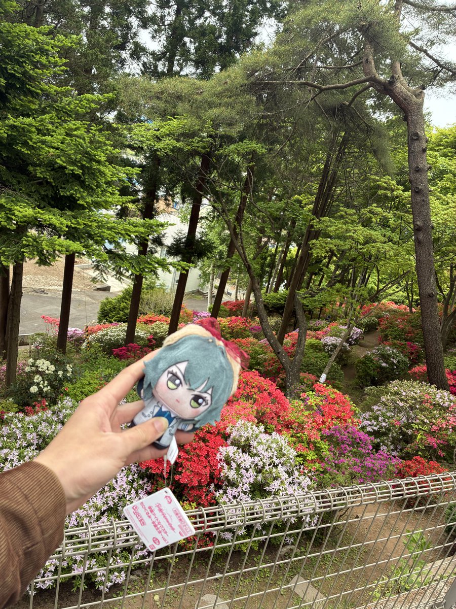 池ちゃん tweet media