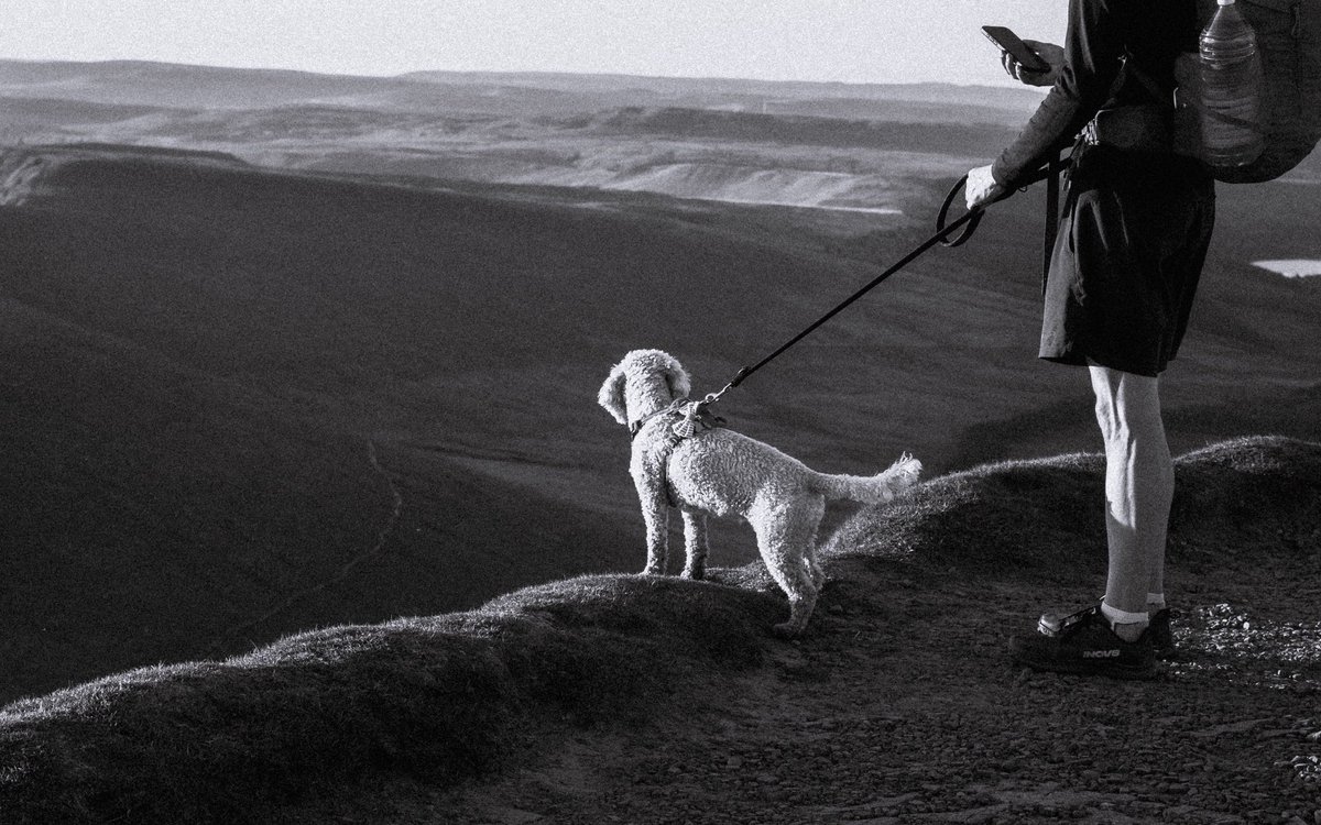 alexjaymoore's tweet photo. Four legged friends on a mountain https://t.co/5eSWhPourr