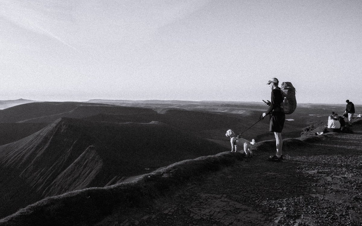 alexjaymoore's tweet photo. Four legged friends on a mountain https://t.co/5eSWhPourr