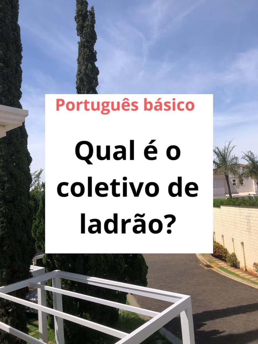 leisa 🇧🇷Brasil de direita🇧🇷 17k tweet media