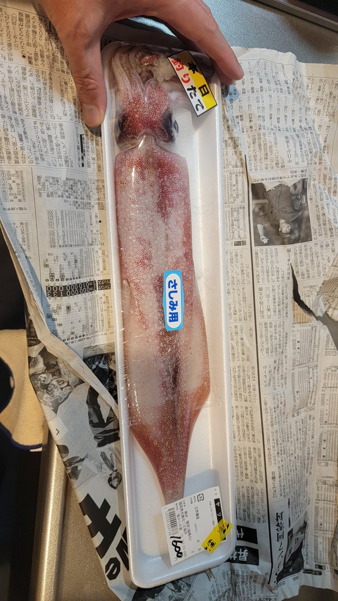 シバブル tweet media
