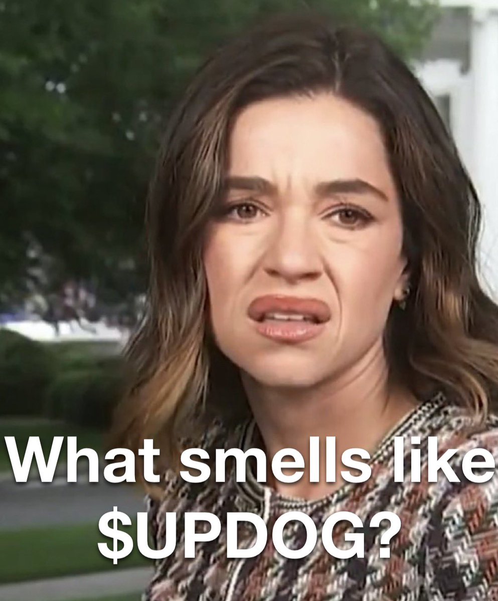 What’s Updog? tweet media