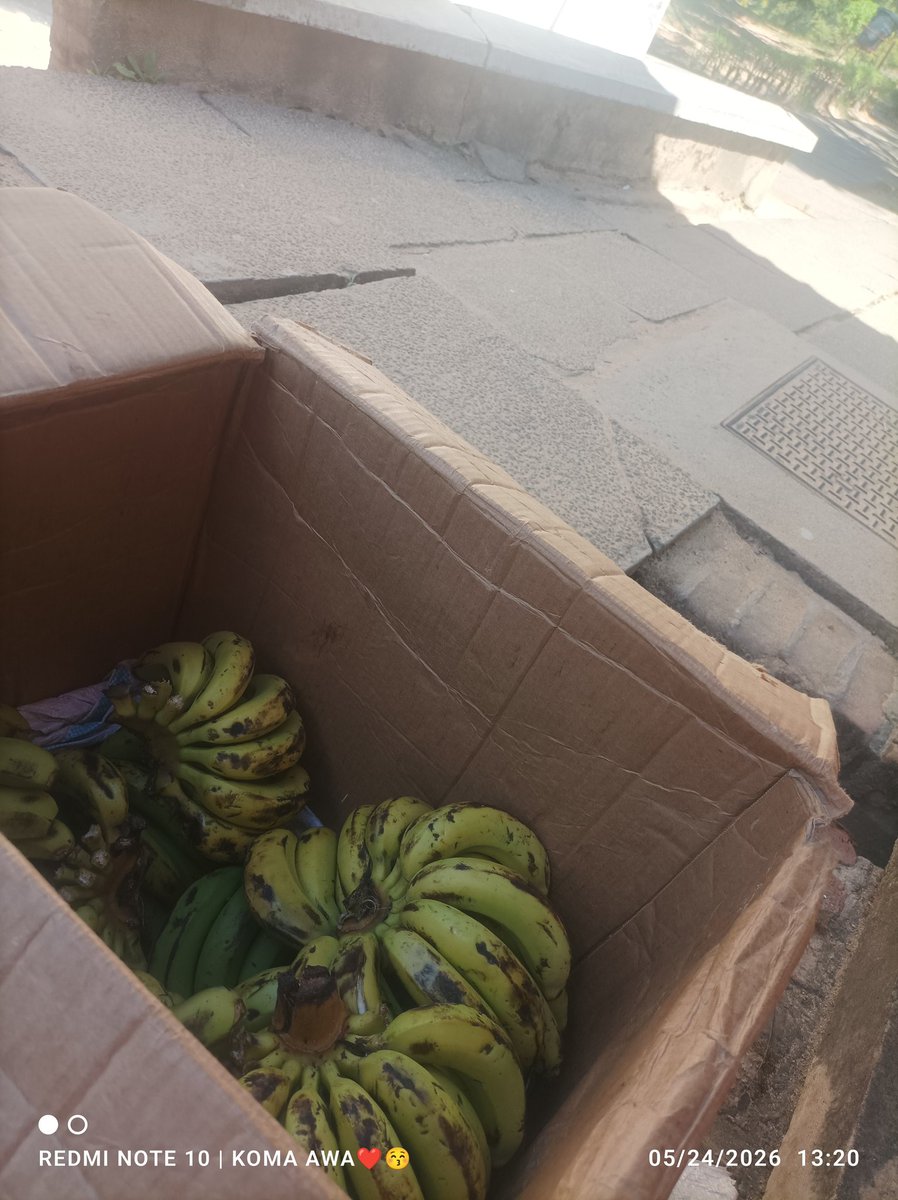 Vanessamacheso's tweet photo. Mzakazi wanu wanthochi 

Bwerani akasi muzatigule🗣️ https://t.co/0b1po9qfH3