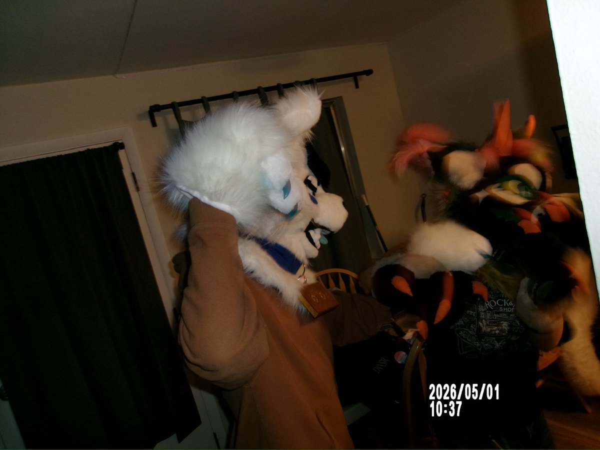⟡ LEXZIILLA ⟡ 🔜 DENFUR tweet media