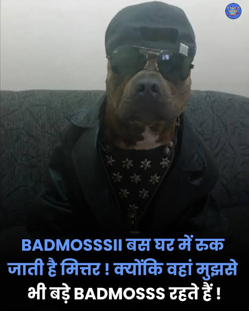 Animesh Chouhan tweet media