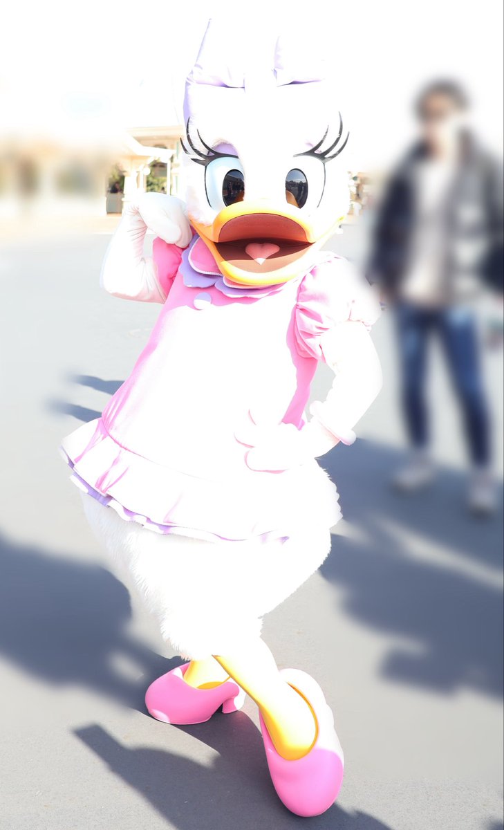 しょーと🚢 tweet media