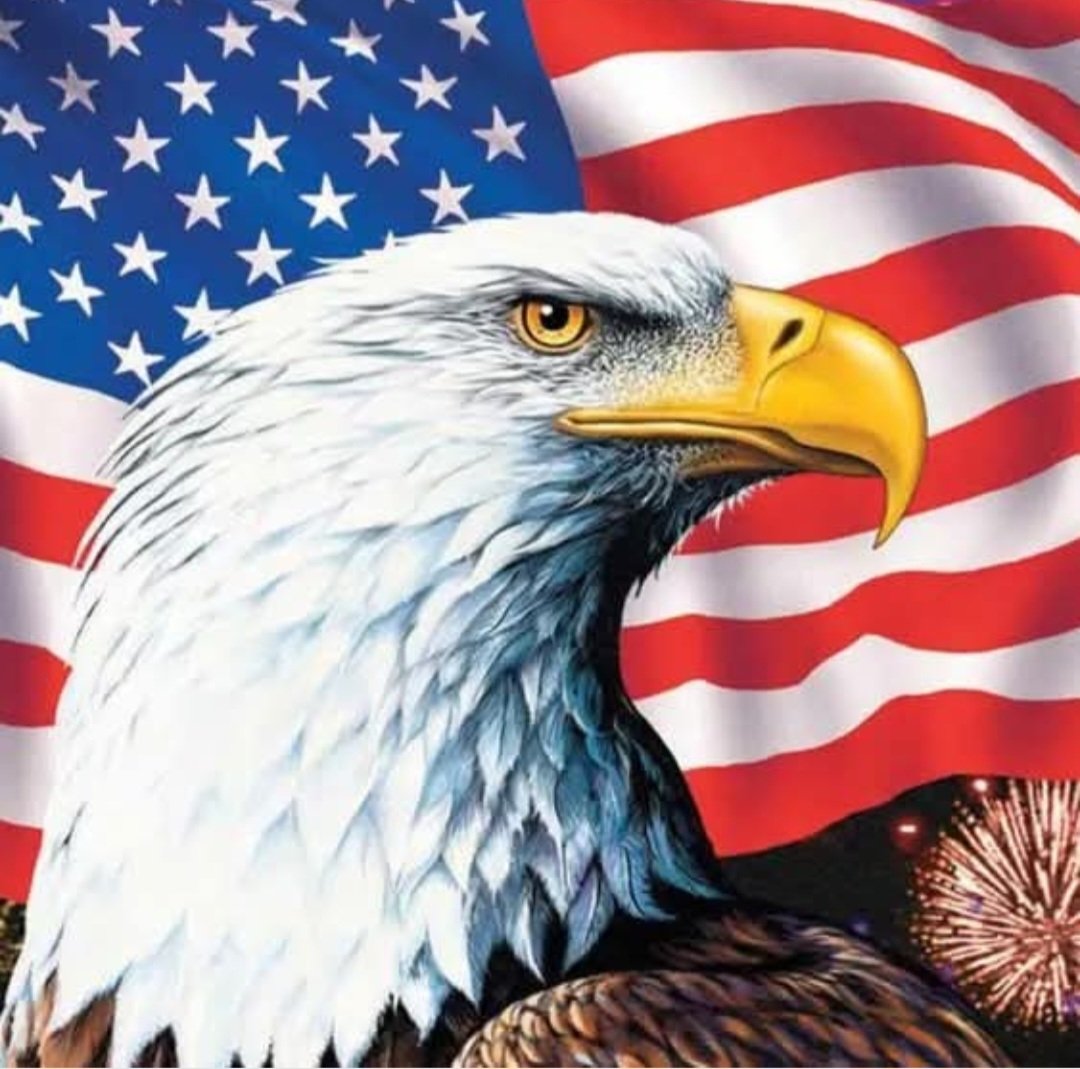 chrisv990's tweet photo. AMERICA 🇺🇸 #LOVEAMERICA https://t.co/vXZ0IgviIn