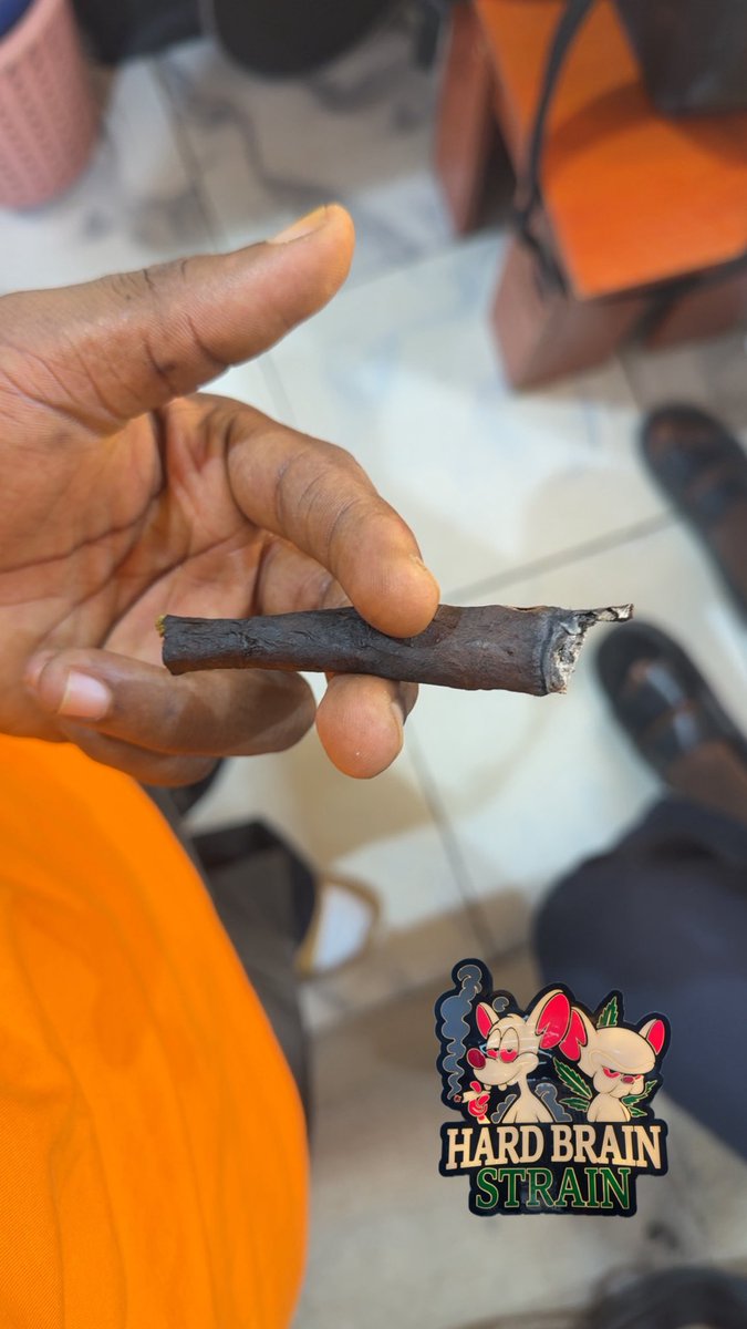 HARD BRAIN 🧠 STRAIN 🌳 tweet media
