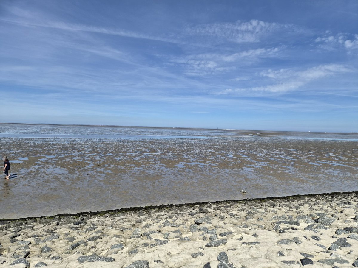 HBimbis's tweet photo. Mein Meer ist leer https://t.co/52VeBZBSGt