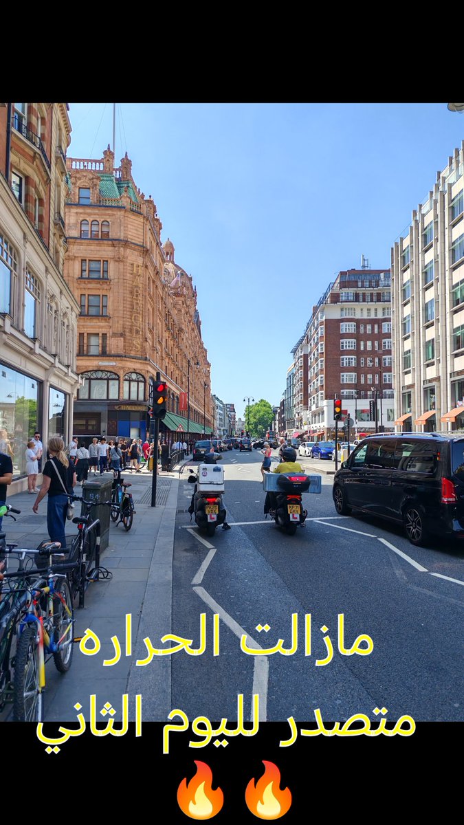 مجموعه انسان tweet media