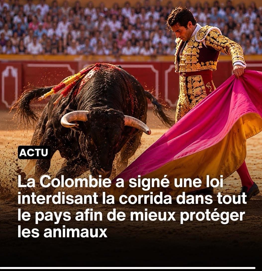 Actu en PLS tweet media