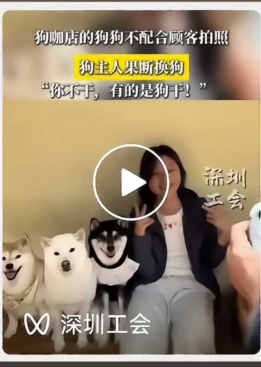 李老师不是你老师 tweet media