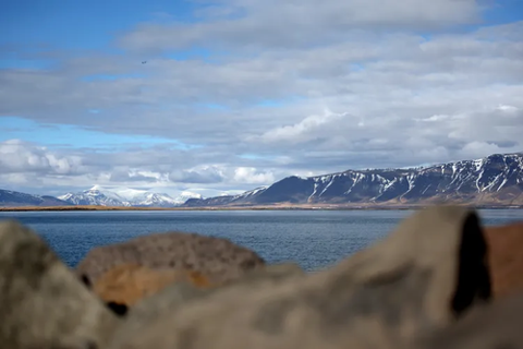 MichaelBainJr2's tweet photo. Iceland ranked first in the Global Peace Index 2025 for unmatched safety and stability.​ Retirees face an average monthly living cost of $3,155 for one person, far higher than the U.S. average.​ https://t.co/pzzDqvtnZ5 https://t.co/Gn1u1YiyBW