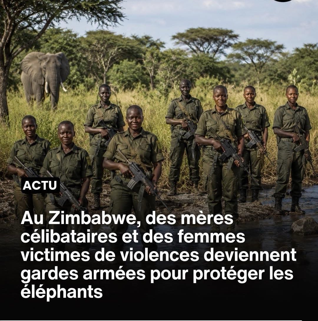- Le Direct Info 🔴 tweet media