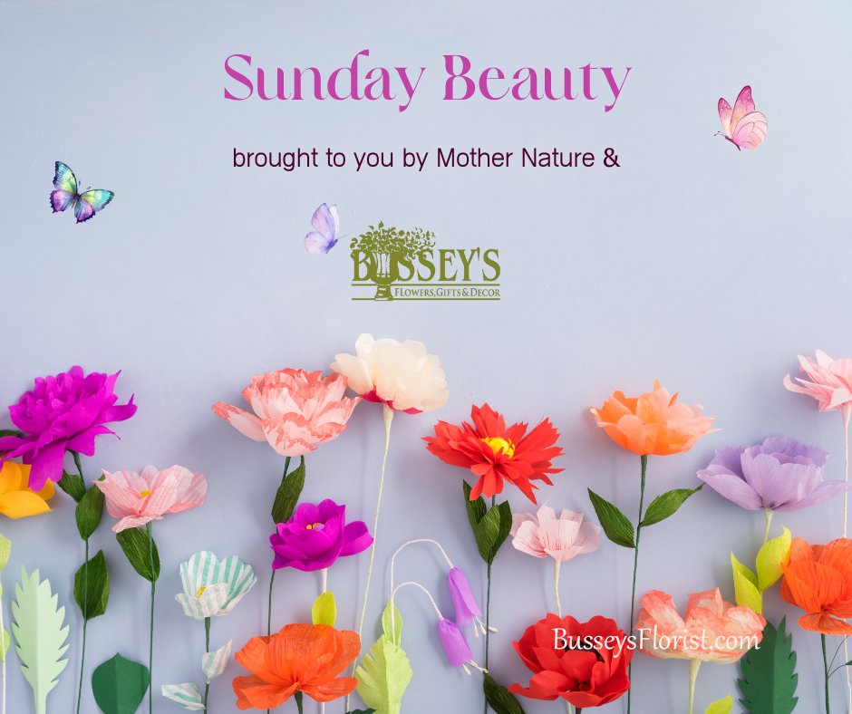 Busseys's tweet photo. Looking for an instant happiness boost? 😊
Flowers make every day brighter and hearts happier. 💜🌺🌿
Send joy, send love, send flowers. 💐

#HappinessDelivered #BloomsofBusseys #SendLove #BusseysFlorist #FamilyOwnedFlorist #SundayVibes https://t.co/ernNEKRDcF