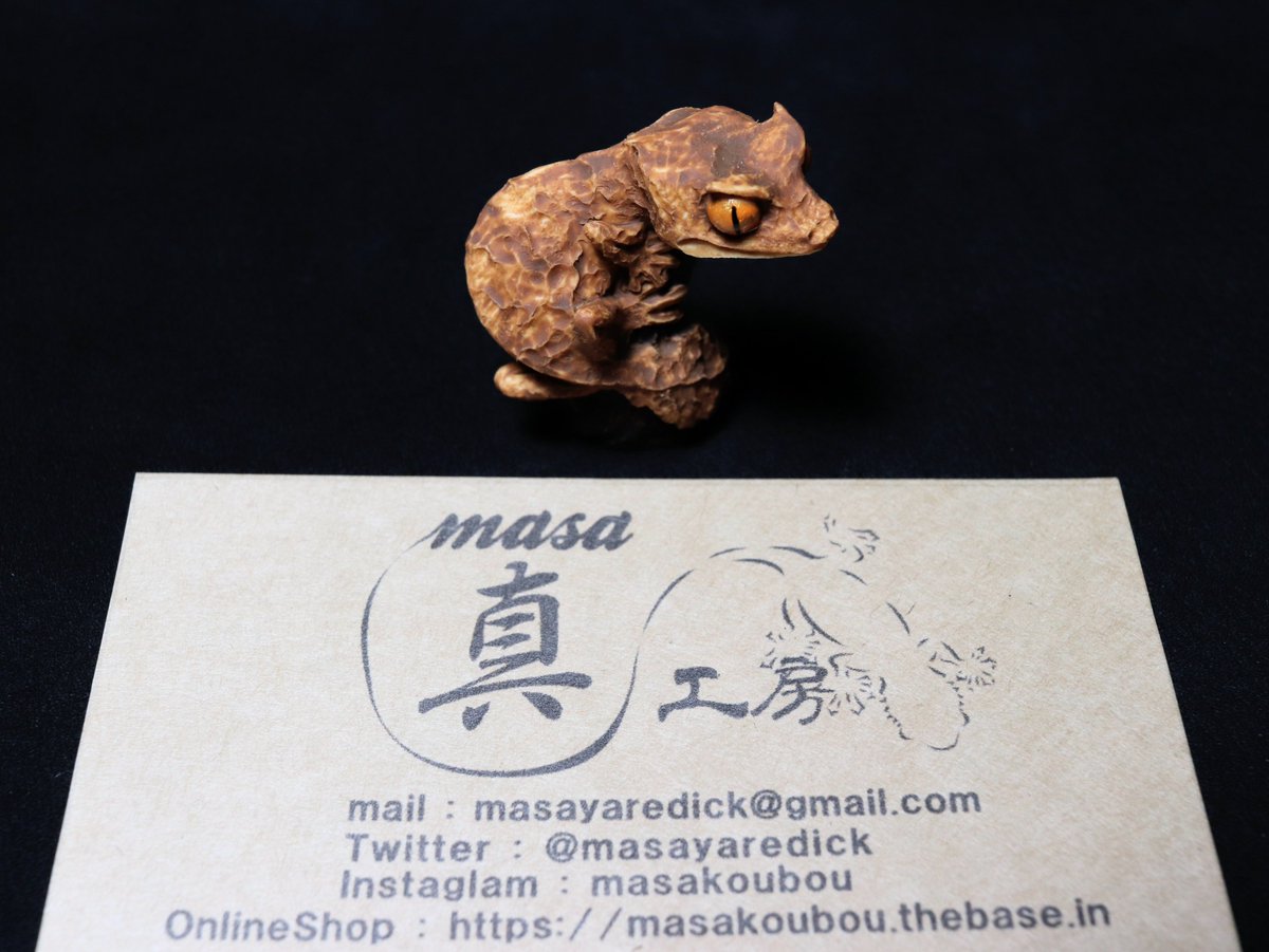 seiku_08's tweet photo. いつも爬虫類イベントでは指を咥えて見つめていただけなので何気初めて真工房さん(@masayaredick )から購入させて頂きました憧れのエダハヘラオヤモリ✨
ちっちゃいのに凄く良い顔していてメッチャ格好良いです✨
#デザフェスvol63 でも結局ヤモリばかりお迎えしてるな〜🤣 https://t.co/q57cWfbyBf