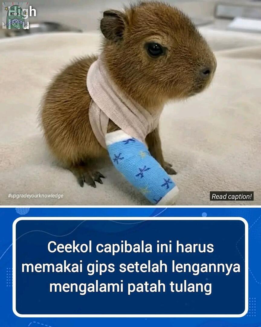 Tanyarlfes tweet media