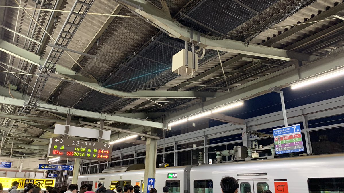 ポイ鉄 tweet media