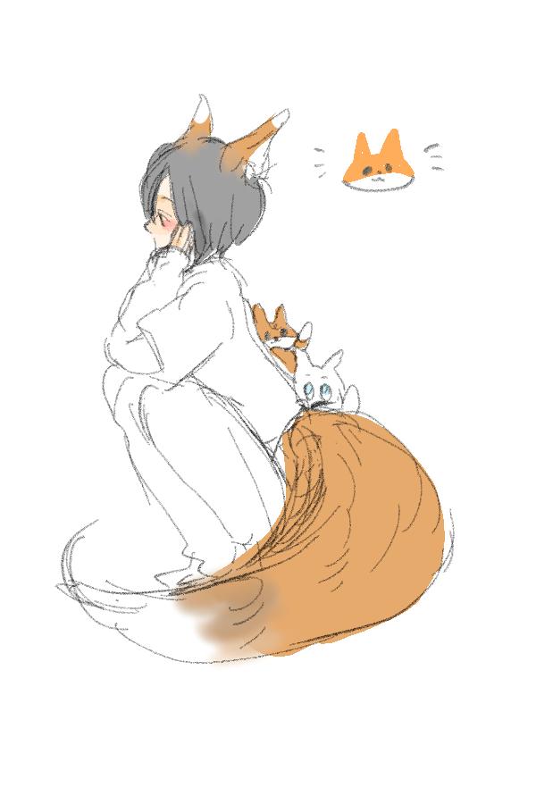 tk_ittk's tweet photo. fox🦊 https://t.co/21FG3B9dJb