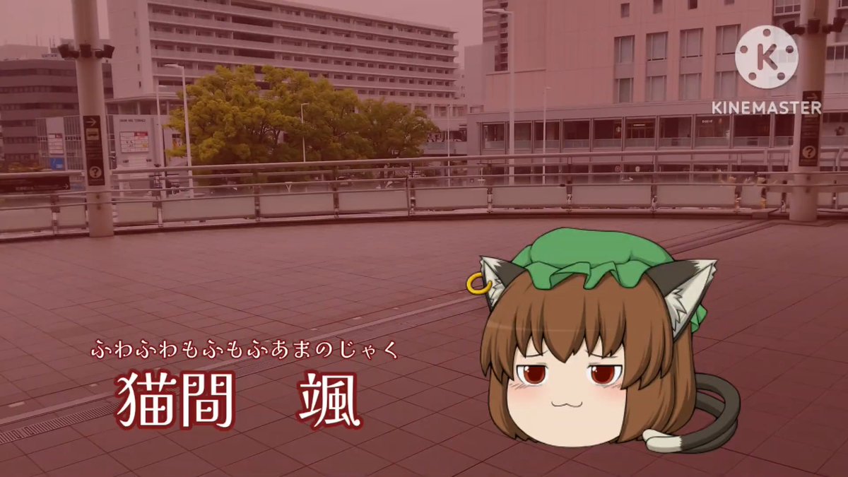 希龍とハヤテ tweet media