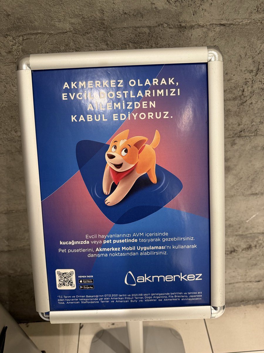 myworlditis35's tweet photo. @mustafaa2110 @no_straydogs_ AVM ler artık sokak kedisi dolu zaten.
Sahipli köpekler de tasmasız dolaştırılıyor, istedikleri yerlere dışkılayıp, bizim koltuklarımızda oturuyorlar.
Görülmemiş bir pislikle karşı karşıyayız.
Vadi İstanbul da dev sokak köpekleri cafede yatarlar…
Kavga çıktı, resim çekemedim.. https://t.co/eoP14n9QBz